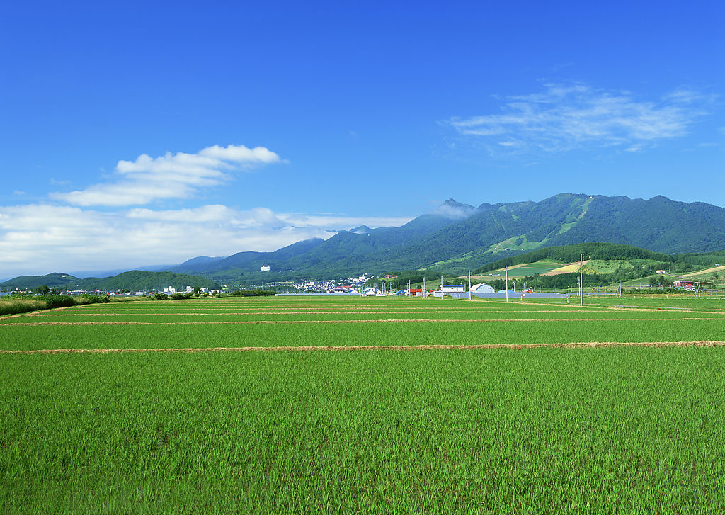 農(nóng)村基站覆蓋綜合解決方案